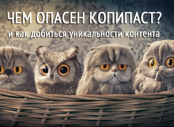 Чем опасен копипаст с других ресурсов