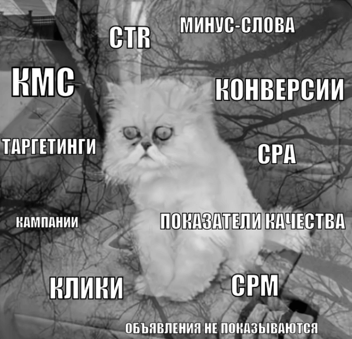 blog_image