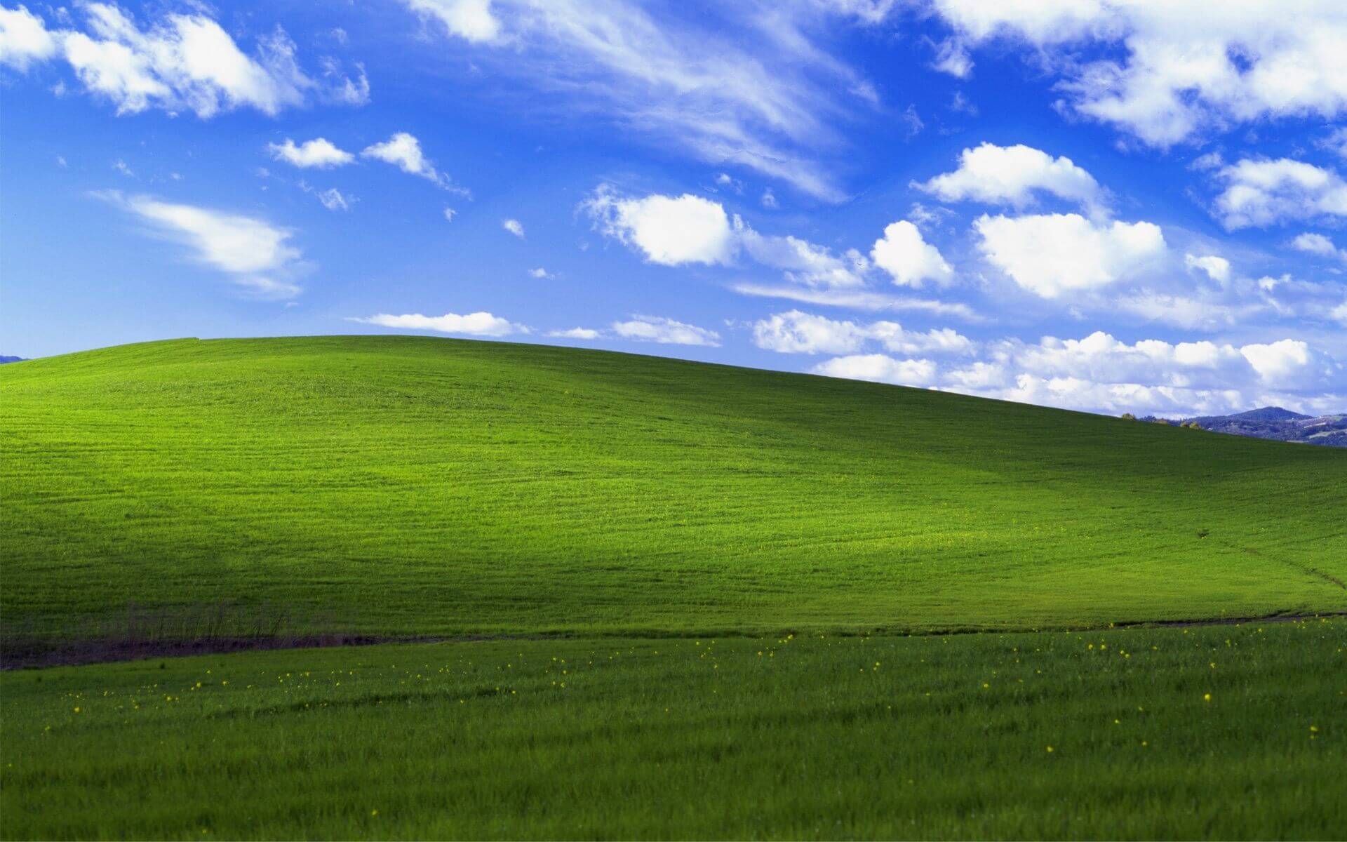 blog_image